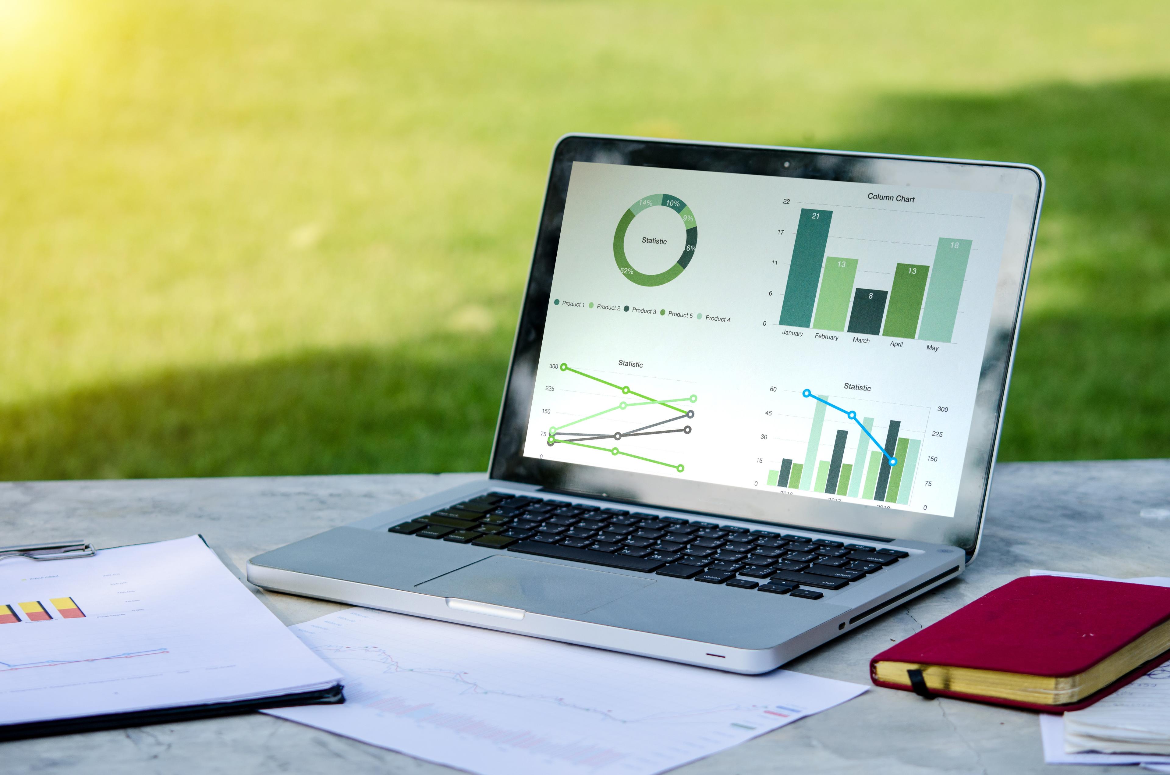 Landscape / Yard Maintenance case study - Analytics dashboard showing digital marketing results